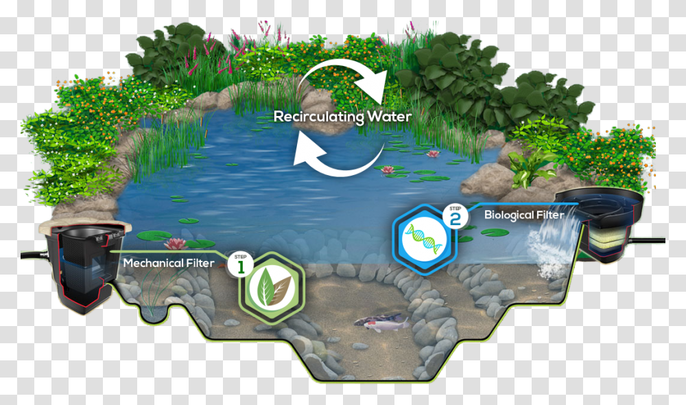 How Does An Ecosystem Work With A Man Made Pond Man Made Pond Ecosystem, Vegetation, Plant, Land, Outdoors Transparent Png