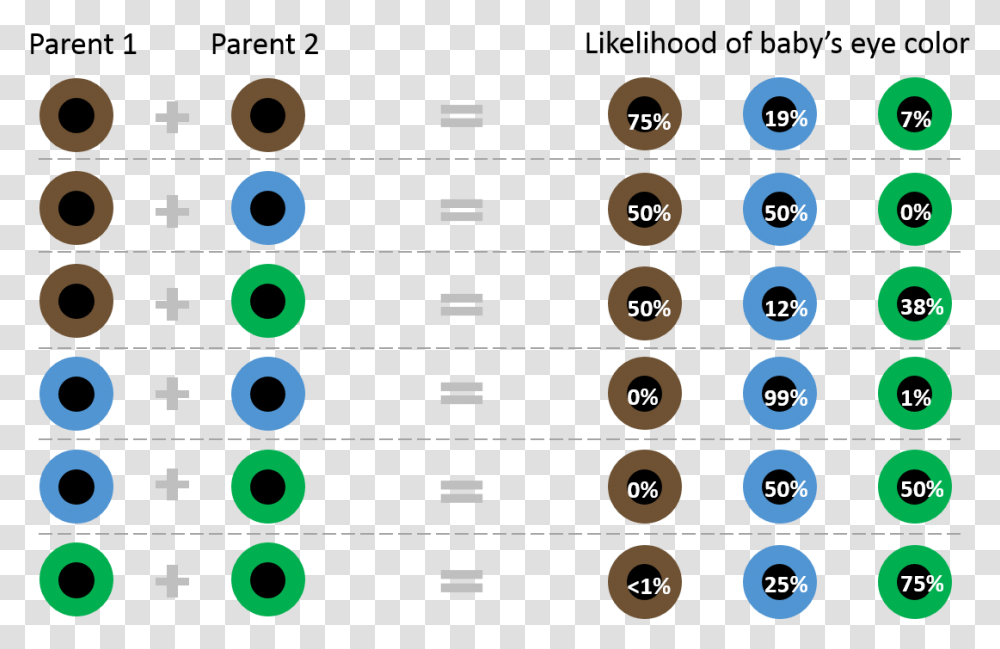 How Eye Color Is Inherited Eye Color Will My Kids Have, Number, Alphabet Transparent Png
