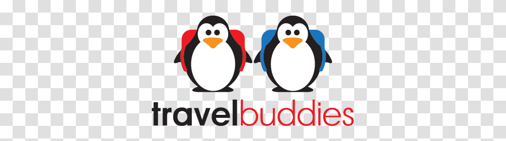 How I Met My Travel Buddy, Bird, Animal, Penguin, King Penguin Transparent Png