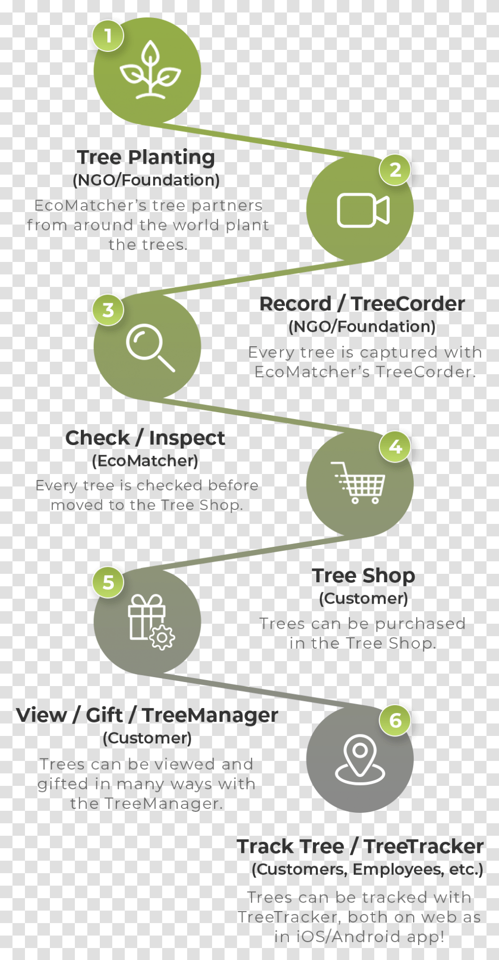 How It Works Vertical, Vegetation, Flyer, Nature, Outdoors Transparent Png