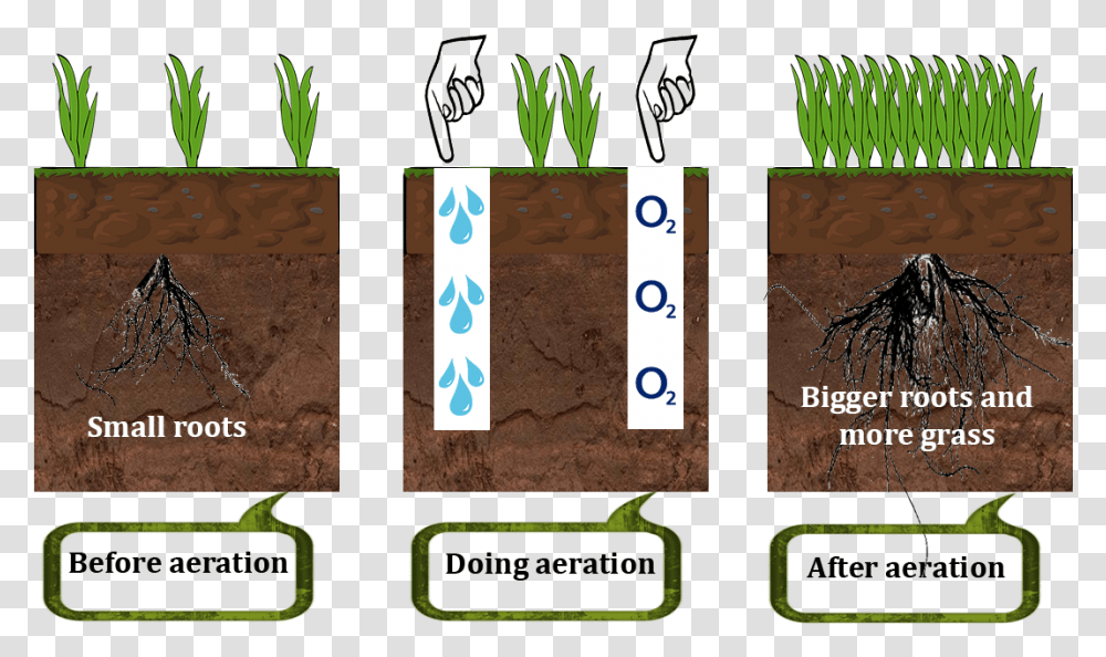 How Lawn Aerator Works Grass, Plant, Word, Number Transparent Png