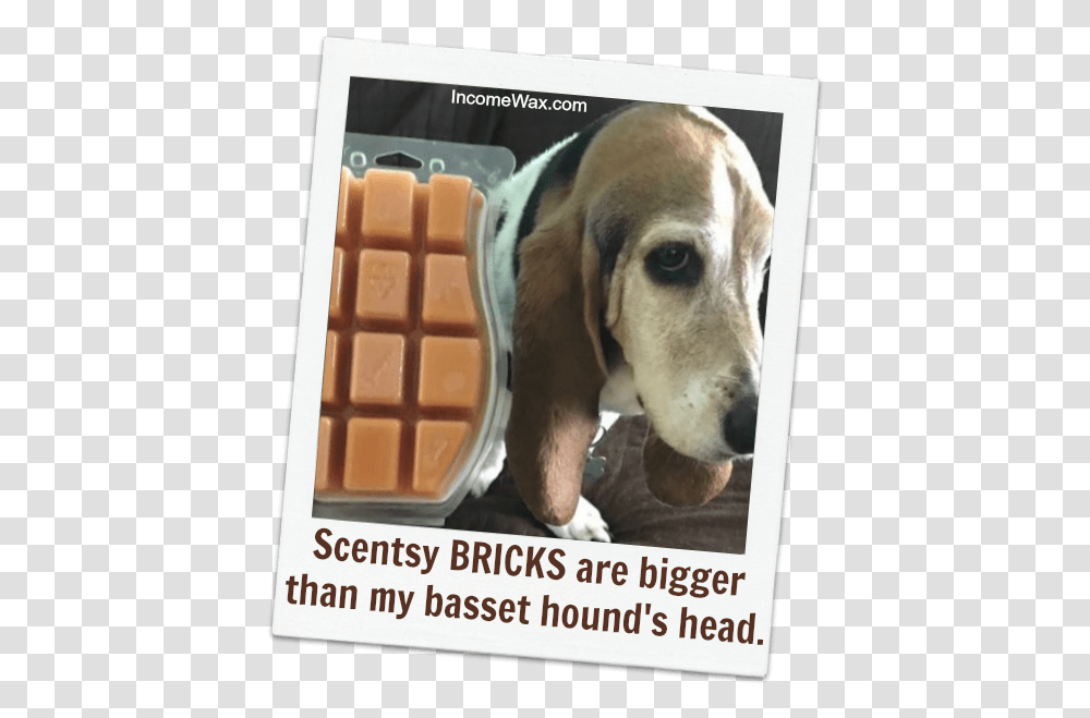 How Many Bars In A Scentsy Brick Groundswell, Dog, Pet, Canine, Animal Transparent Png