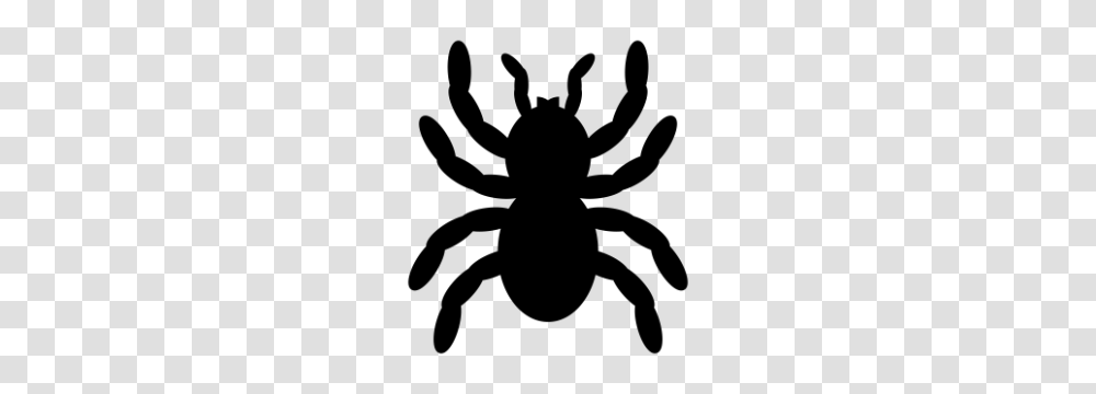 How Much Does A Tarantula Cost, Gray, World Of Warcraft Transparent Png