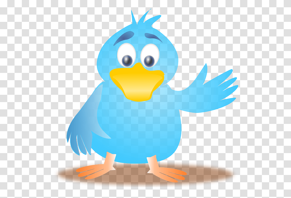How Not To Look Like A Twit On Twitter, Animal, Bird, Shark, Sea Life Transparent Png
