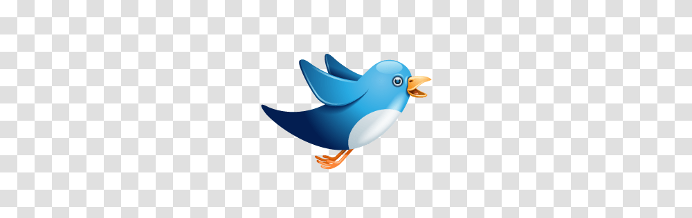 How To Add Animated Flying Twitter Bird Widget To Blogger, Animal, Bluebird, Shark, Sea Life Transparent Png
