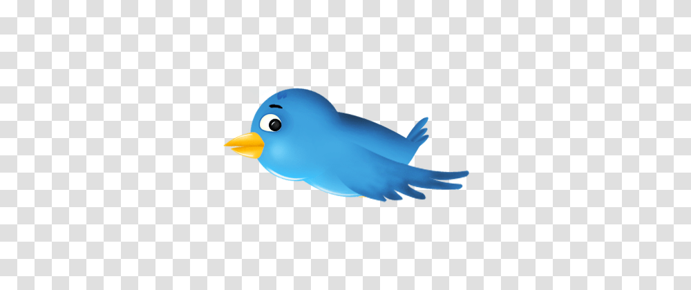 How To Add Animated Flying Twitter Cute Bird On Blogger Add, Animal, Bluebird, Outdoors, Nature Transparent Png