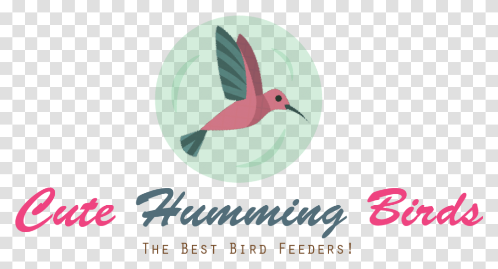 How To Attract Humming Birds Cute Humming Birds Coraciiformes, Animal, Beak, Hummingbird, Kiwi Bird Transparent Png