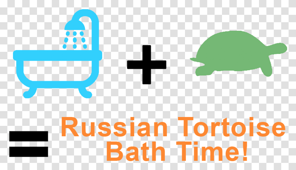 How To Bathe A Russian Tortoise Transparent Png