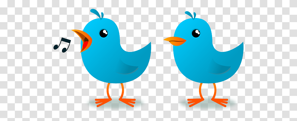How To Be A Rockstar Twitter Chat Moderator Ditch That Textbook, Bird, Animal, Jay, Bluebird Transparent Png