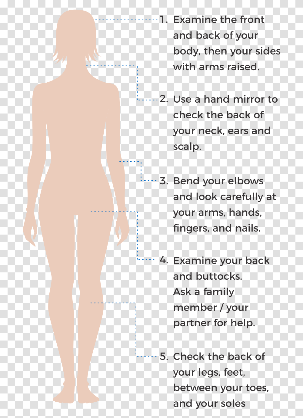 How To Check Your Skin Spots Girl, Plot, Diagram, Person, Human Transparent Png