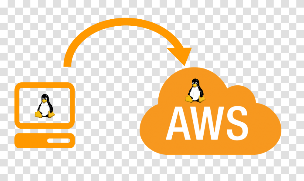 How To Clone A Linux Box Into Amazon, Penguin, Bird, Animal, Electronics Transparent Png