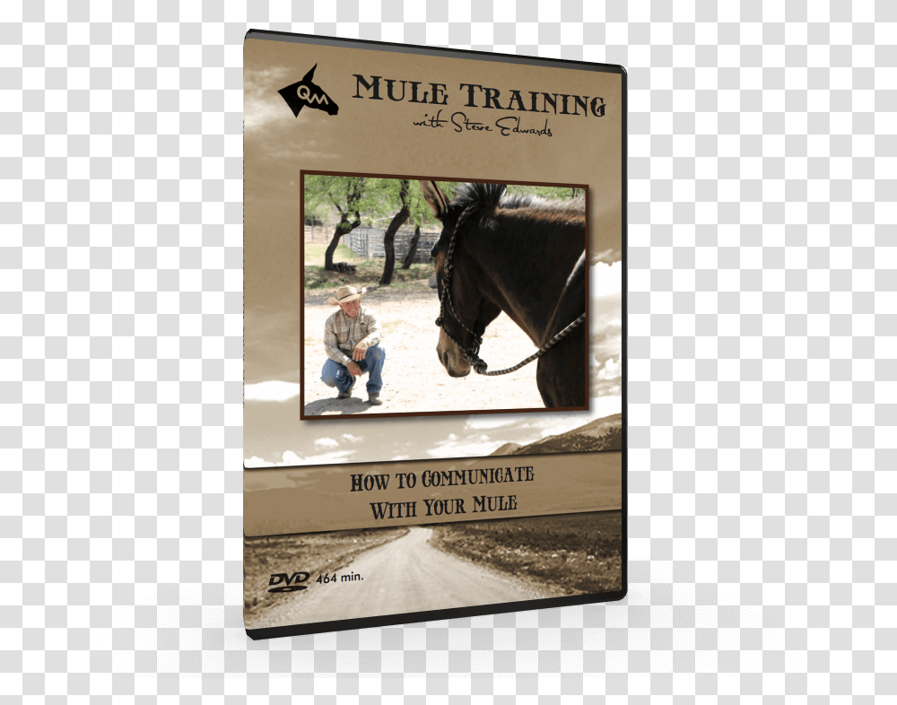 How To Communicate Mule Training Techniques Video Stallion, Person, Human, Advertisement, Horse Transparent Png
