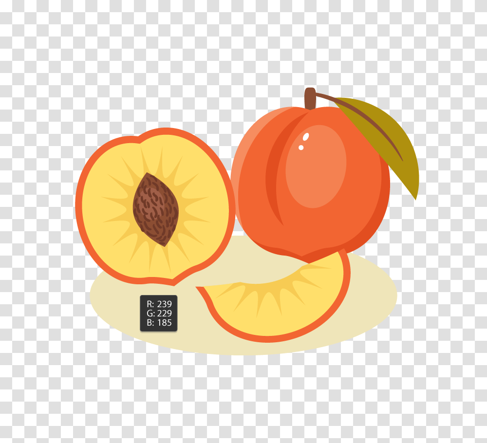 How To Create A Peach Illustration In Adobe Illustrator, Plant, Fruit, Food, Produce Transparent Png