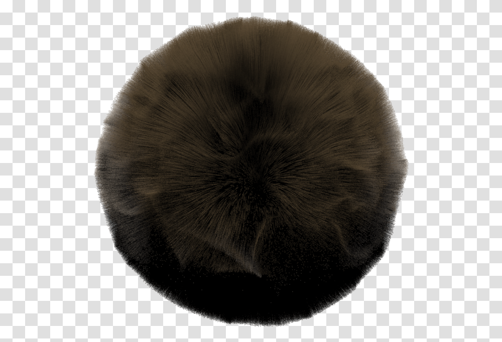 How To Create Hair Styled Like Dreadlocks Fur Clothing, Nature, Outdoors, Fungus, Moon Transparent Png