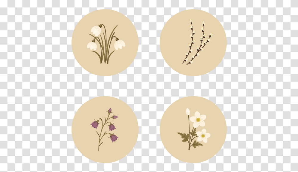 How To Create Spring Flowers From Basic Shapes In Adobe Beige Flower Drawing, Plant, Food, Egg, Pattern Transparent Png