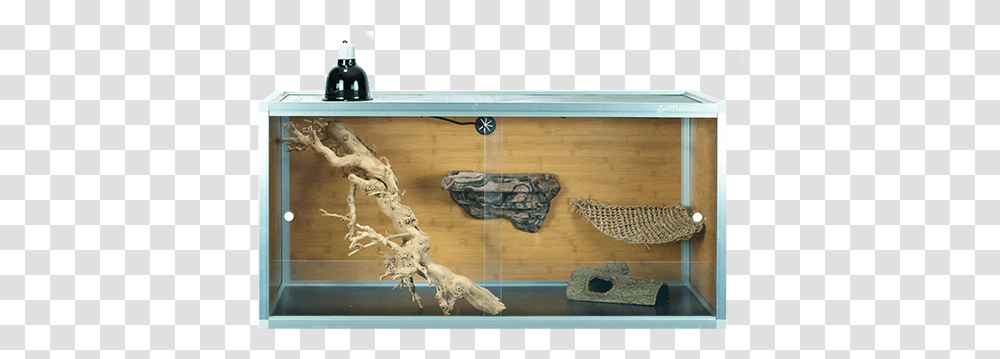 How To Create The Right Habitat For Your Bearded Dragon Zen Habitats Bearded Dragon, Soil, Wood, Person, Human Transparent Png