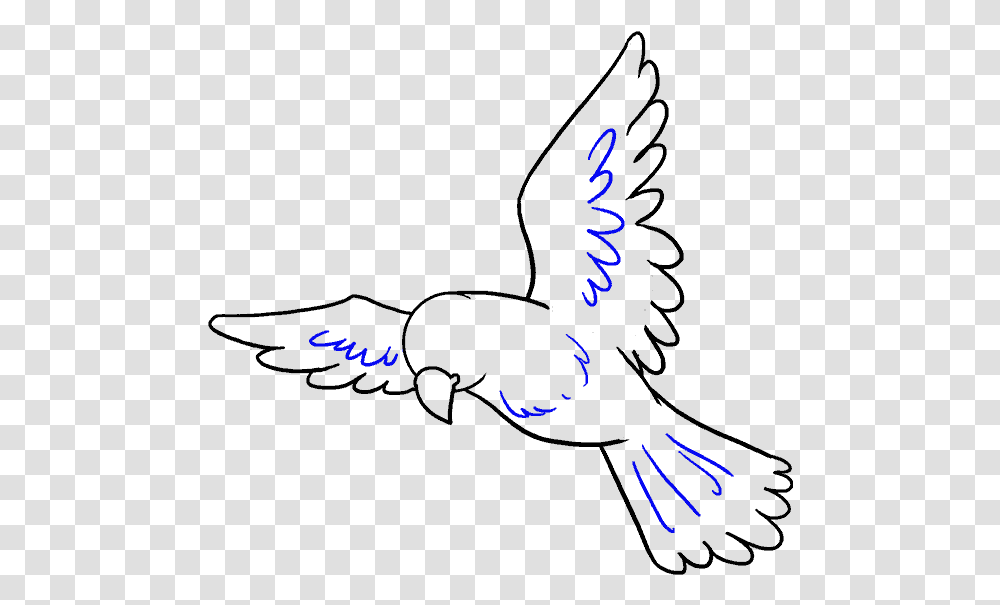 How To Draw A Bird Easy Step Bird Drawing Easy, Handwriting, Label, Calligraphy Transparent Png