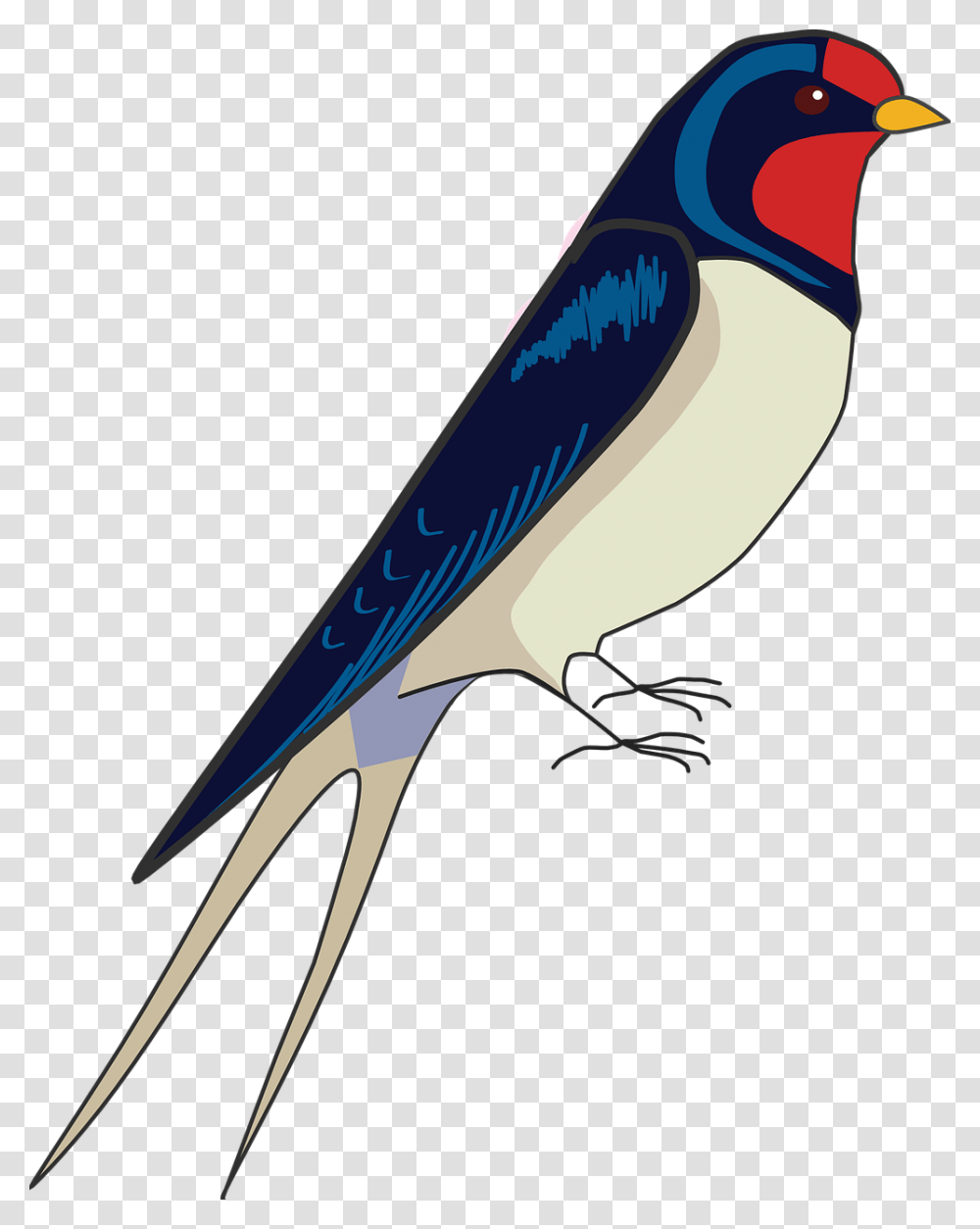 How To Draw A Bird How To Draw A Swallow Draw Easy Swallow Bird, Bluebird, Animal, Jay, Blue Jay Transparent Png