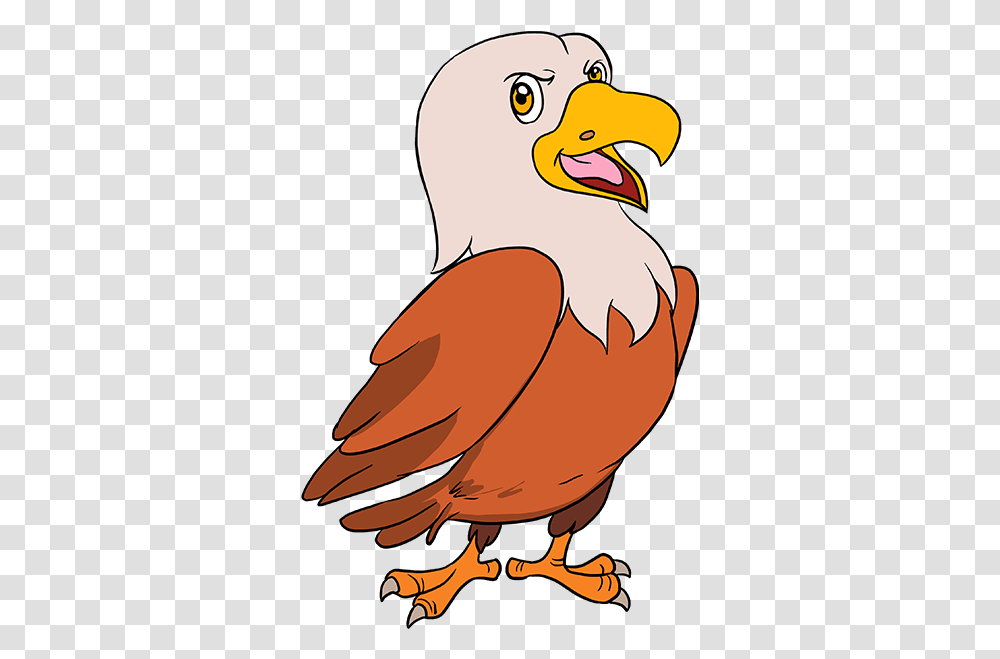 How To Draw A Cartoon Hawk Really Easy Drawing Tutorial Cartoon Hawk Clipart, Vulture, Bird, Animal, Eagle Transparent Png