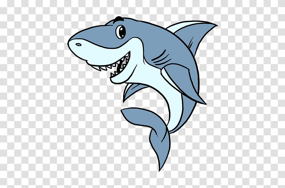 How To Draw A Cartoon Shark Easy Step, Animal, Sea Life, Fish, Amphibian Transparent Png