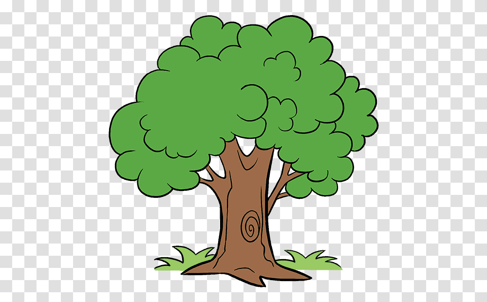 How To Draw A Cartoon Tree Tree In Cartoon, Plant, Graphics, Tree Trunk, Doodle Transparent Png