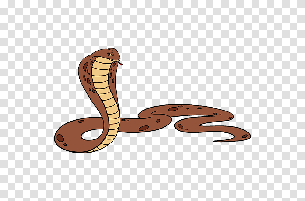 How To Draw A Cobra Easy Step, Snake, Reptile, Animal Transparent Png