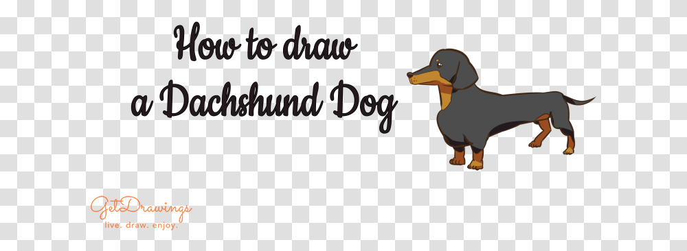 How To Draw A Dachshund Dog Dachshund, Animal, Bird, Beak, Flying Transparent Png