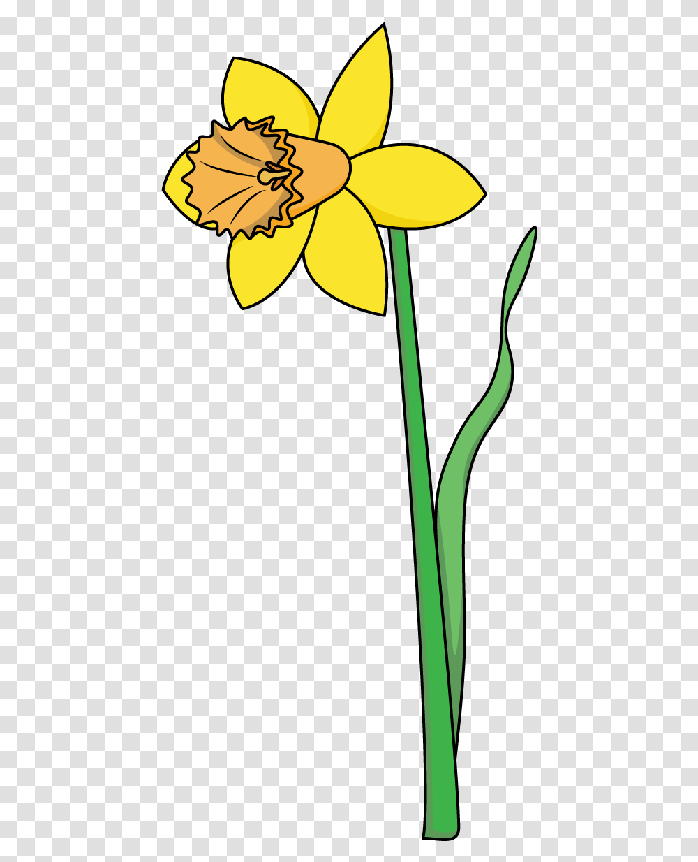 How To Draw A Daffodil Flowers Plants Spring Easy Drawing Of A Daffodil, Blossom, Amaryllidaceae, Petal Transparent Png