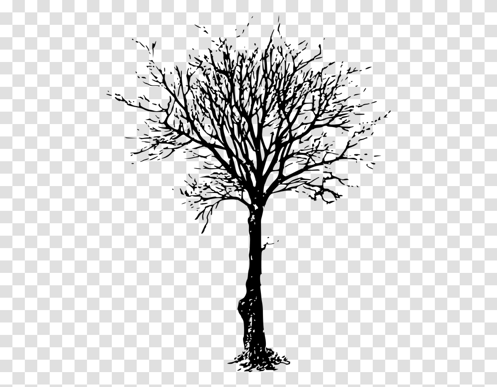 How To Draw A Dead Tree, Gray, World Of Warcraft Transparent Png