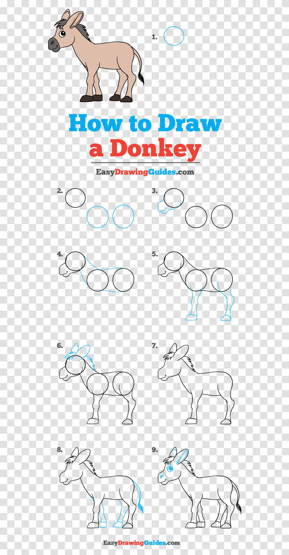 How To Draw A Donkey Phoenix Drawing Easy Step By Step, Poster, Advertisement, Horse, Mammal Transparent Png