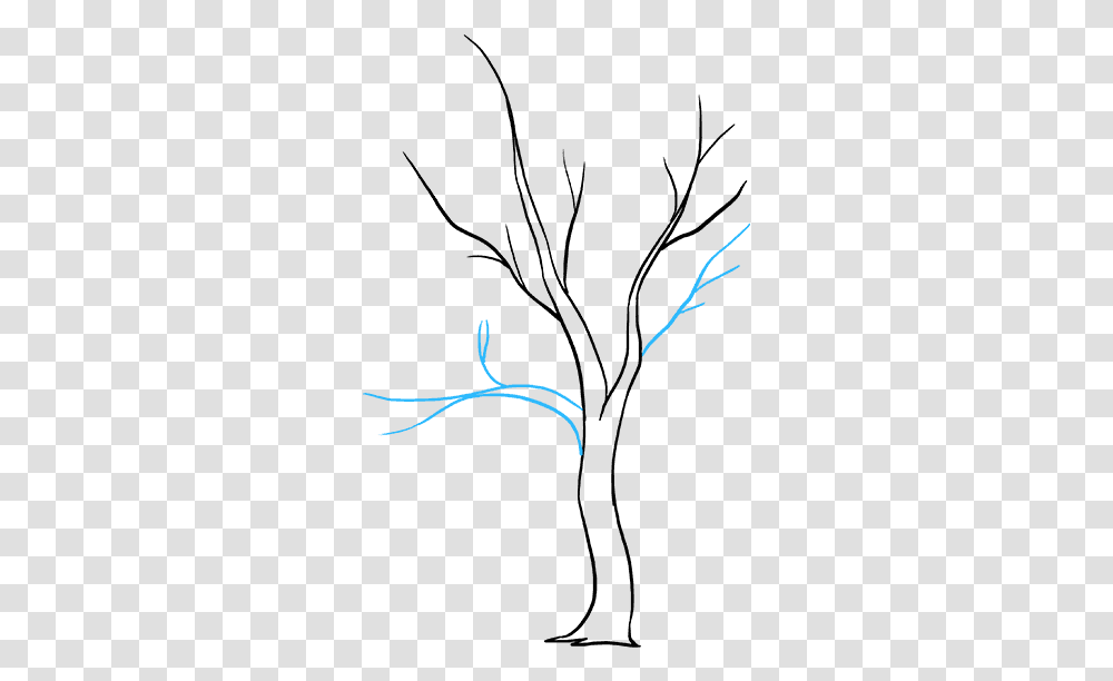 How To Draw A Fall Tree Illustration, Handwriting, Bird, Animal Transparent Png