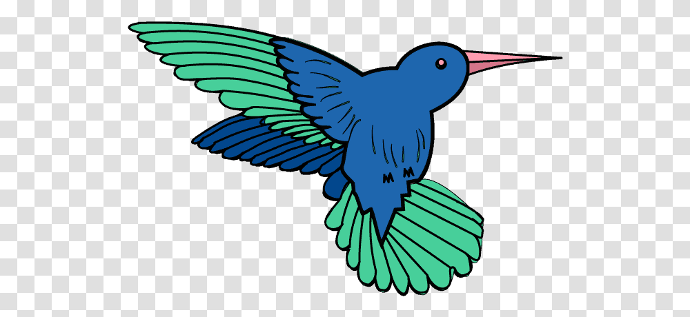 How To Draw A Hummingbird Easy Step Bystep Drawing Guides Color How To Draw A Hummingbird, Jay, Animal, Bluebird Transparent Png