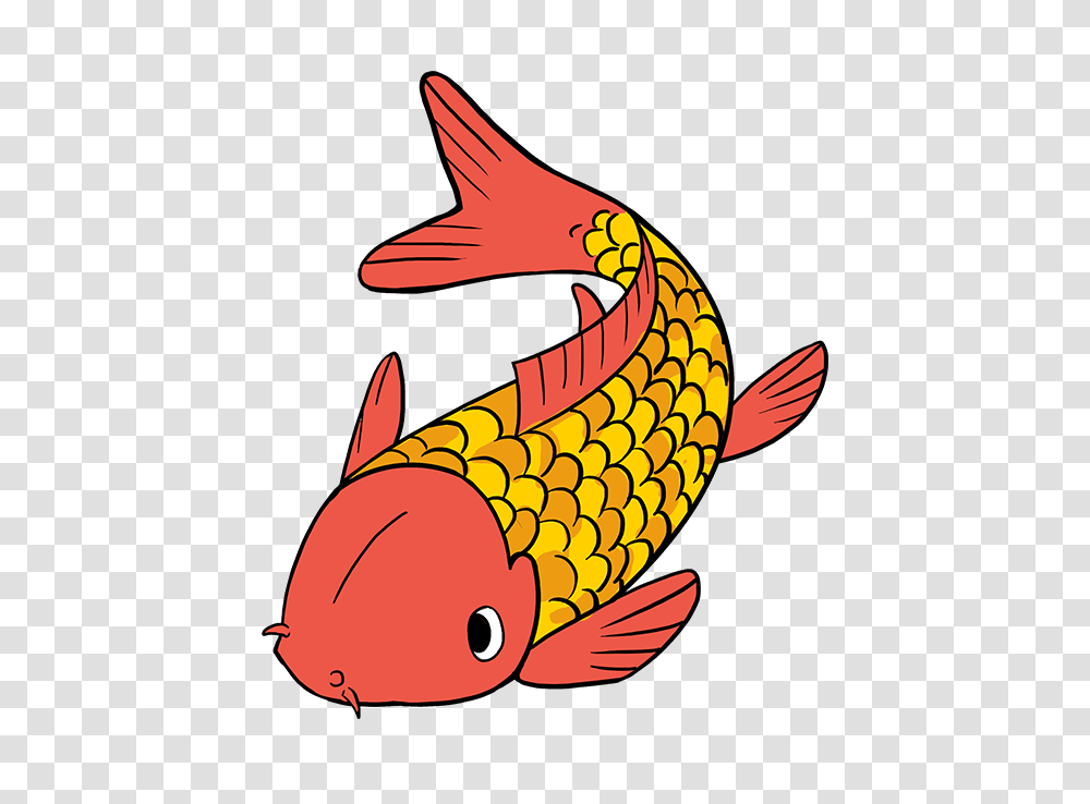 How To Draw A Koi Fish, Animal, Skin, Carp, Finch Transparent Png