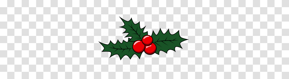 How To Draw A Mistletoe Group With Items, Plant, Leaf, Tree, Fruit Transparent Png