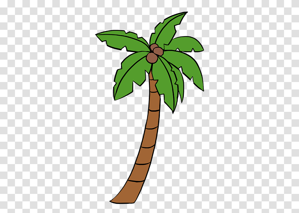 How To Draw A Palm Tree Cartoon Palm Tree Drawing, Plant, Leaf, Bamboo Transparent Png
