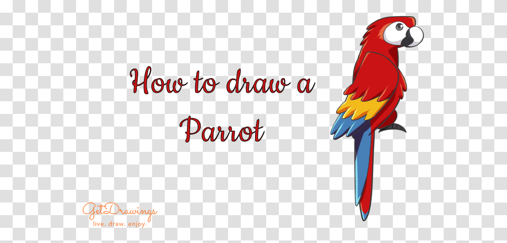 How To Draw A Parrot Macaw, Bird, Animal Transparent Png