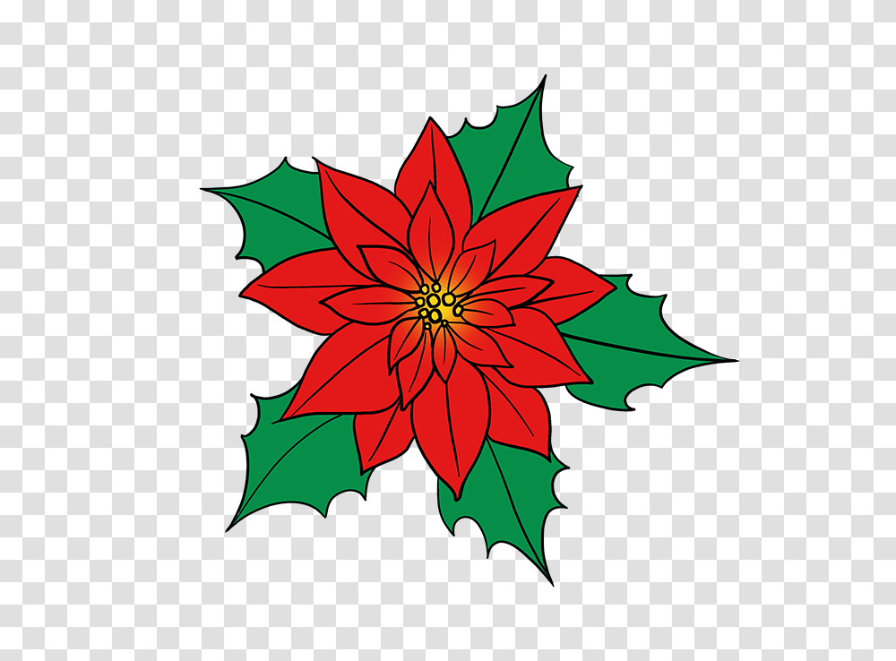 How To Draw A Poinsettia, Leaf, Plant, Pattern, Ornament Transparent Png