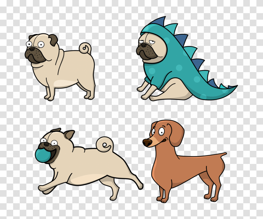 How To Draw A Realistic Maltese Puppy Pug To A Step, Animal, Reptile, Lizard, Iguana Transparent Png
