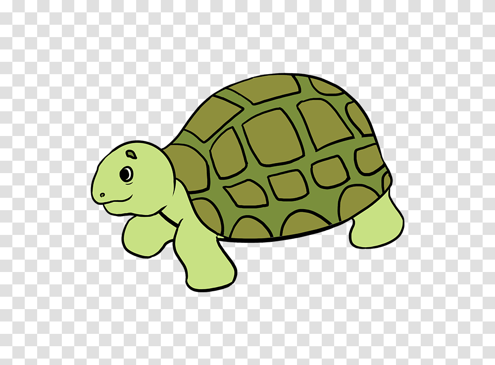 How To Draw A Sea Turtle, Tortoise, Reptile, Sea Life, Animal Transparent Png