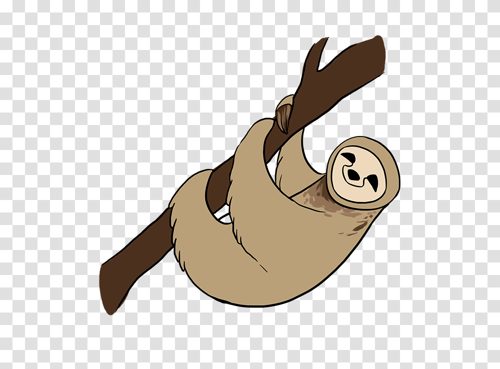 How To Draw A Sloth, Animal, Mammal, Rabbit, Rodent Transparent Png