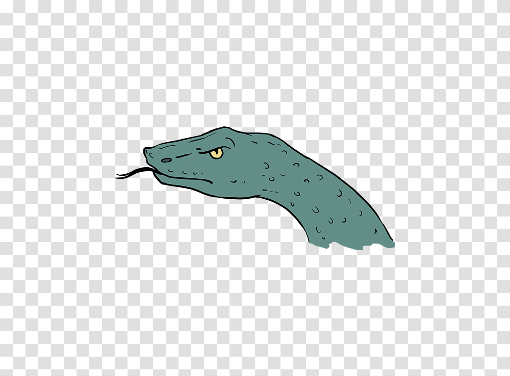 How To Draw A Snake Head, Fish, Animal, Mammal, Sea Life Transparent Png