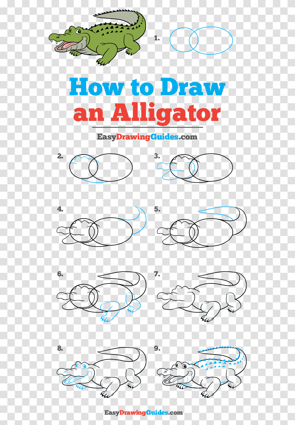 How To Draw Alligator Draw A Playground Step By Step, Dinosaur, Animal, Alphabet Transparent Png