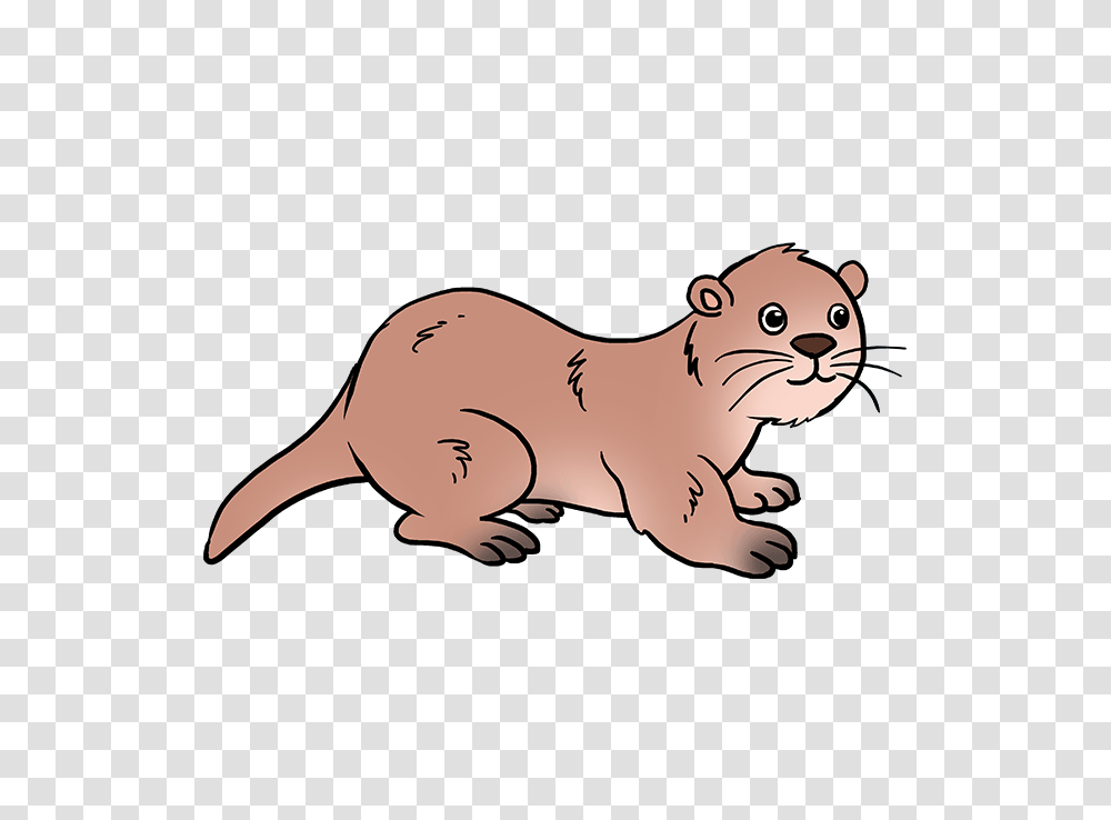 How To Draw An Otter, Wildlife, Animal, Mammal, Weasel Transparent Png
