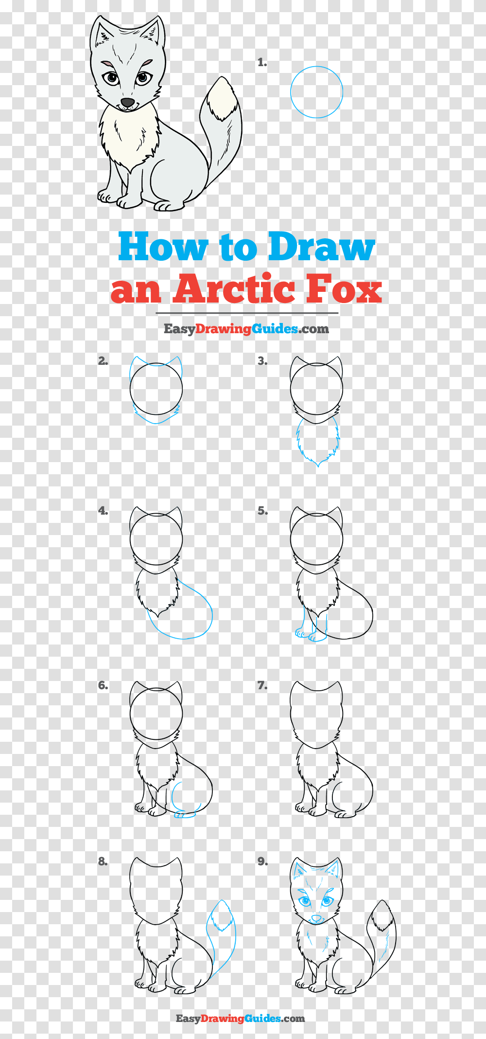 How To Draw Arctic Fox Step By Step How To Draw An Arctic Fox, Accessories, Accessory, Jewelry, Gemstone Transparent Png