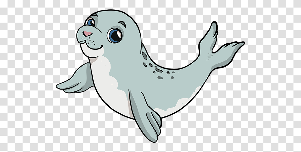 How To Draw Baby Seal Draw A Baby Seal, Mammal, Animal, Sea Life, Whale Transparent Png