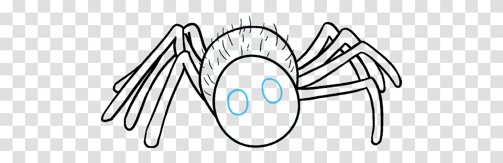How To Draw Cartoon Spider Spider Black And White Clipart, Face, Photography, Light Transparent Png