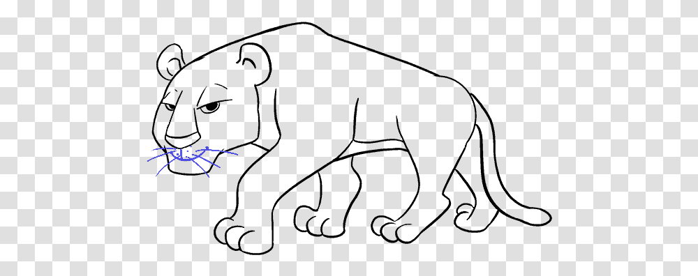 How To Draw Cartoon Tiger Cartoon Tiger Drawing, Outdoors, Nature, Light, Stage Transparent Png