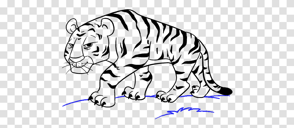 How To Draw Cartoon Tiger Tiger Cartoon Drawing Easy, Light, Outdoors, Neon Transparent Png