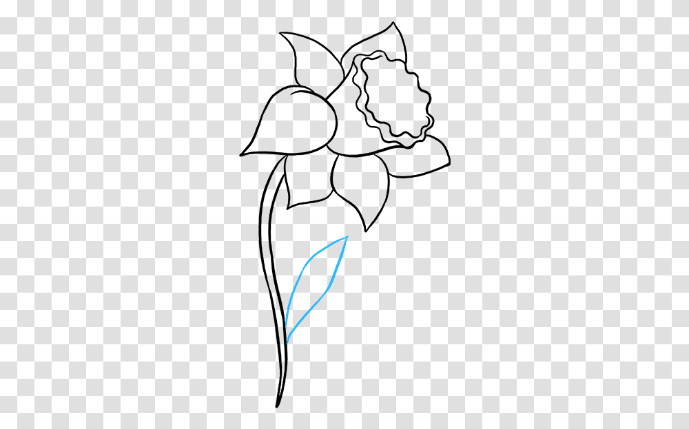 How To Draw Daffodil Line Art, Alphabet, Tennis Racket Transparent Png