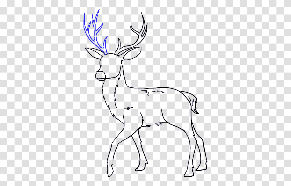 How To Draw Deer Drawing, Wildlife, Mammal, Animal, Silhouette Transparent Png